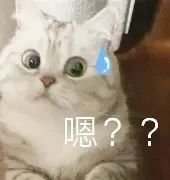 表情包 的图像结果